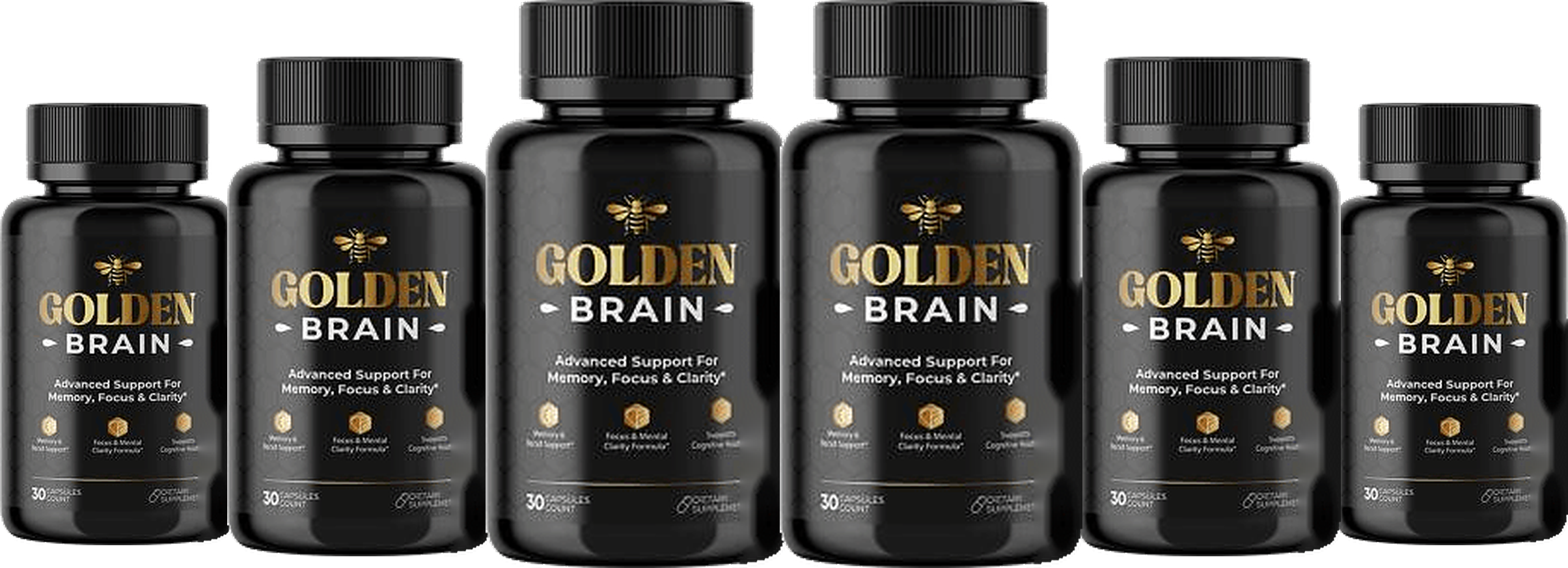 Golden Brain, 6 bottles